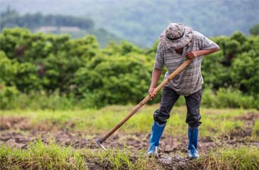 Agricultores