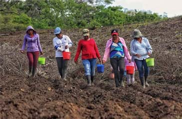 Mujeres